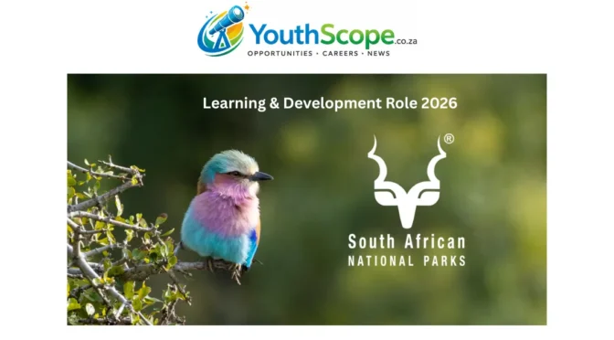 Build a Career in Conservation: SANParks Learning & Development Role 2026