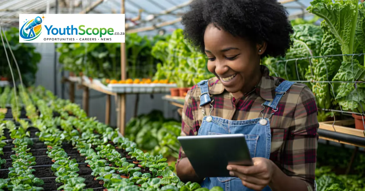 2-Week Accredited Training for Unemployed Youth 2026